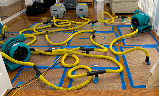 Professional Structural Drying And Dehumidification technician working in Sheffield Lake, OH